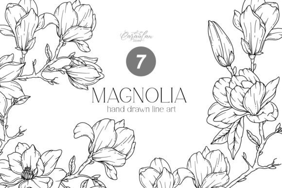 Download MAGNOLIA LINE DRAWING, Floral Line Art - Wing Collection