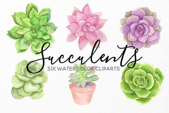 Download Water Succulents Hand Painted Cliparts - Clipart Collection