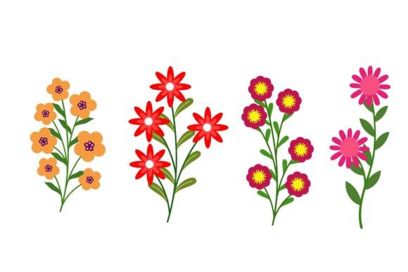 Download Flower Beautiful Collection - Collection Collection