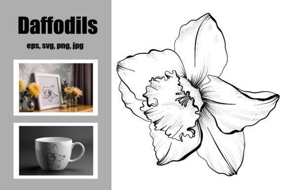 Download Daffodils Freehand Drawing - Wing Collection
