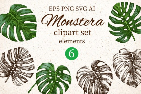 Download Monstera Clipart Set Elements - Clipart Collection