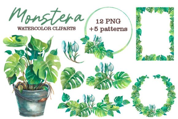 Download Monstera Watercolor Clipart - Clipart Collection