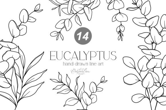 Download EUCALYPTUS LINE DRAWING, Floral Line Art - Wing Collection