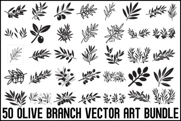 Download 50 Olive Branch Vector Art Bundle - Bundle Collection