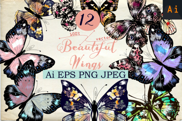 Download Beautiful Collection From12 High Detailed and Quality Butterflies. - Collection Collection