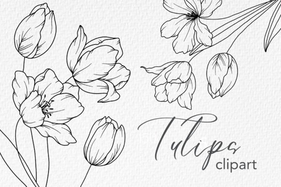 Download Tulips Line Drawing, Floral Line Art - Wing Collection