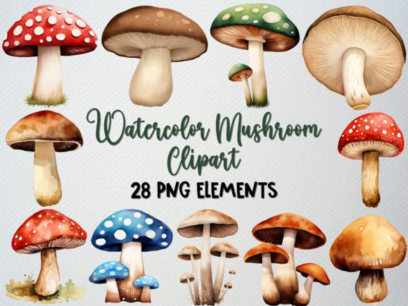 Download Watercolor Mushroom Clipart Set, 28 PNG - Clipart Collection